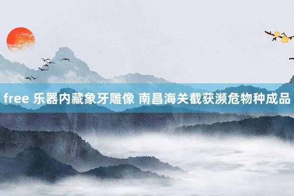 free 乐器内藏象牙雕像 南昌海关截获濒危物种成品