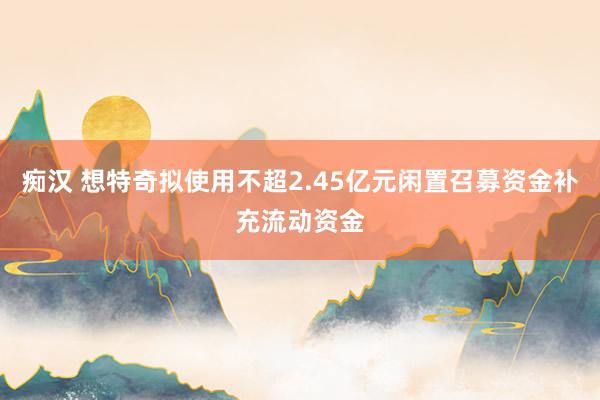 痴汉 想特奇拟使用不超2.45亿元闲置召募资金补充流动资金