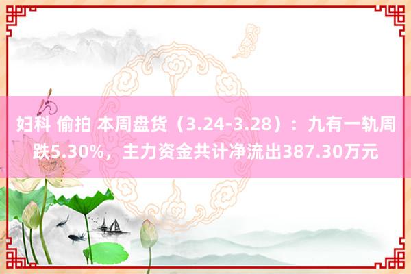 妇科 偷拍 本周盘货（3.24-3.28）：九有一轨周跌5.30%，主力资金共计净流出387.30万元