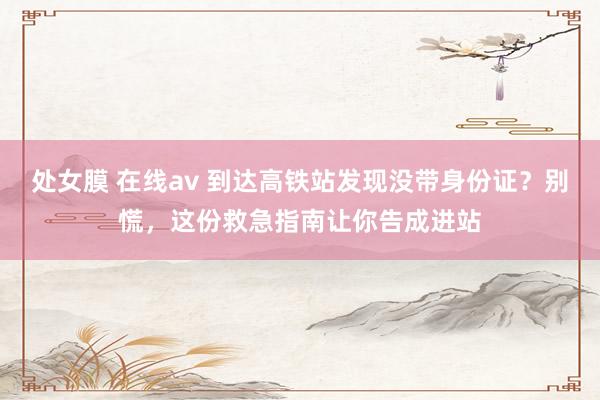 处女膜 在线av 到达高铁站发现没带身份证？别慌，这份救急指南让你告成进站