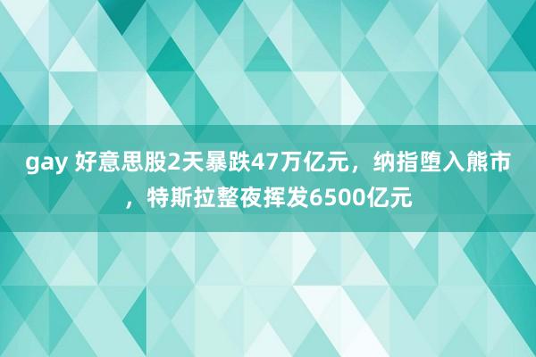 gay 好意思股2天暴跌47万亿元，纳指堕入熊市，特斯拉整夜挥发6500亿元