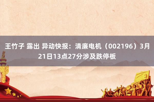 王竹子 露出 异动快报：清廉电机（002196）3月21日13点27分涉及跌停板