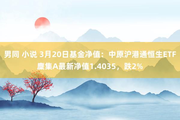 男同 小说 3月20日基金净值：中原沪港通恒生ETF麇集A最新净值1.4035，跌2%