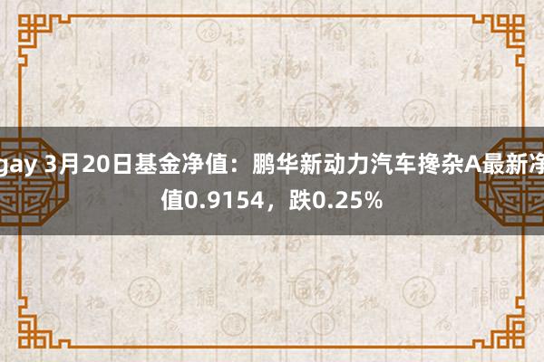 gay 3月20日基金净值：鹏华新动力汽车搀杂A最新净值0.9154，跌0.25%