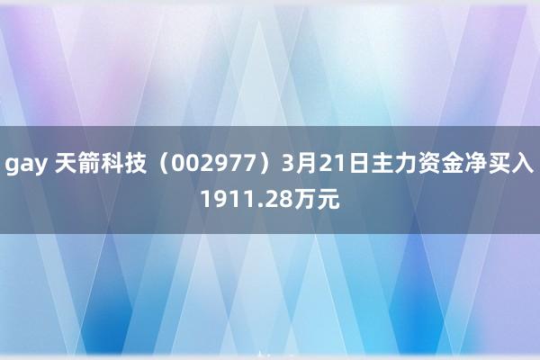 gay 天箭科技（002977）3月21日主力资金净买入1911.28万元