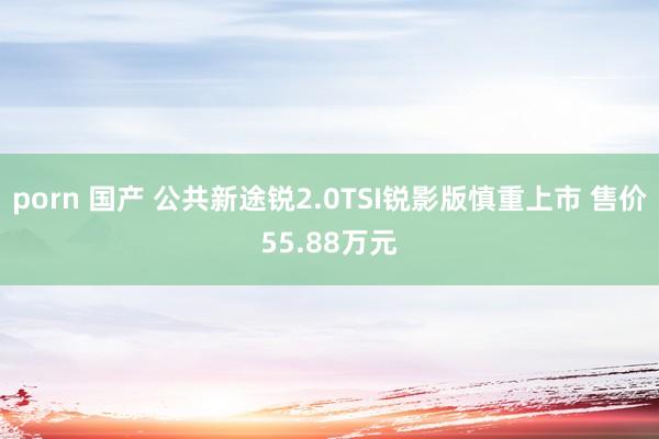 porn 国产 公共新途锐2.0TSI锐影版慎重上市 售价55.88万元
