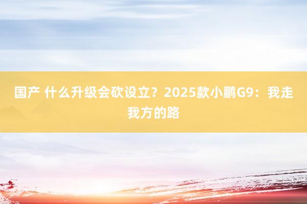 国产 什么升级会砍设立？2025款小鹏G9：我走我方的路