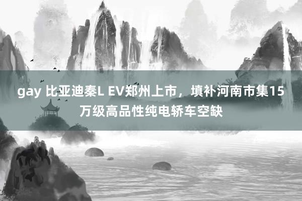 gay 比亚迪秦L EV郑州上市，填补河南市集15万级高品性纯电轿车空缺