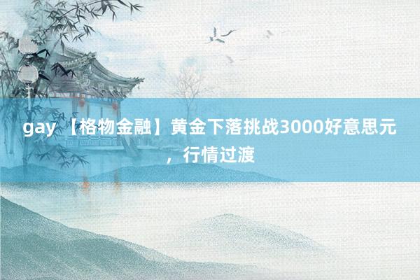 gay 【格物金融】黄金下落挑战3000好意思元，行情过渡