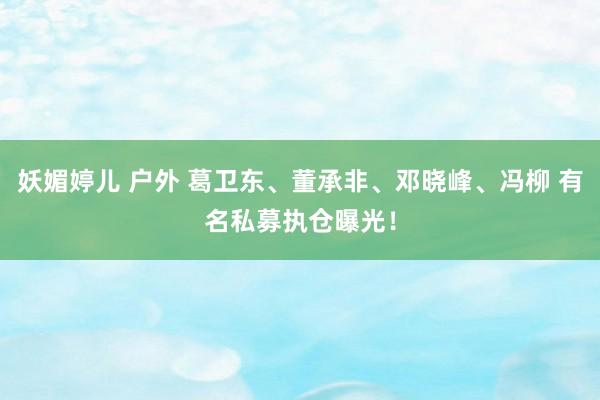 妖媚婷儿 户外 葛卫东、董承非、邓晓峰、冯柳 有名私募执仓曝光！