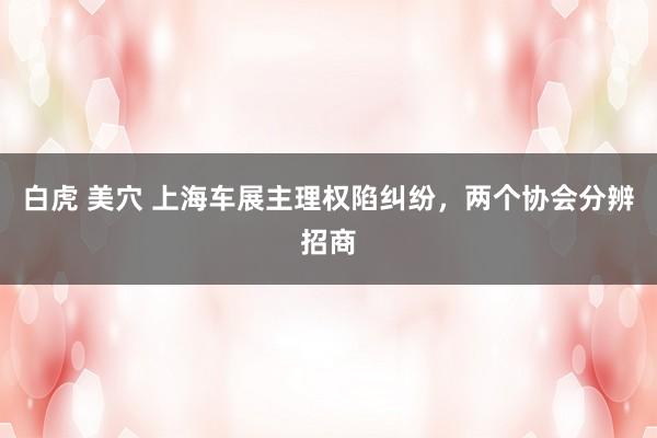 白虎 美穴 上海车展主理权陷纠纷，两个协会分辨招商