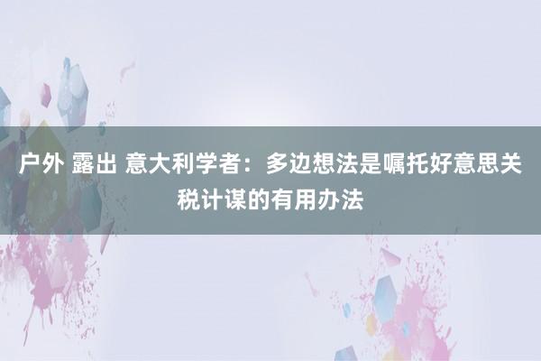 户外 露出 意大利学者：多边想法是嘱托好意思关税计谋的有用办法