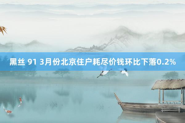 黑丝 91 3月份北京住户耗尽价钱环比下落0.2%
