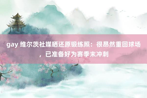gay 维尔茨社媒晒还原锻练照：很昂然重回球场，已准备好为赛季末冲刺