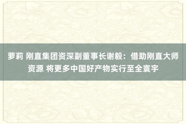 萝莉 刚直集团资深副董事长谢毅：借助刚直大师资源 将更多中国好产物实行至全寰宇
