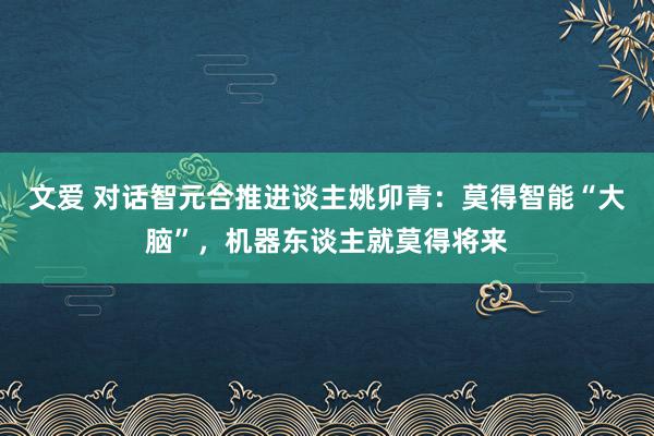 文爱 对话智元合推进谈主姚卯青：莫得智能“大脑”，机器东谈主就莫得将来