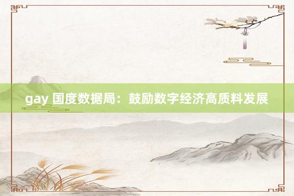 gay 国度数据局：鼓励数字经济高质料发展