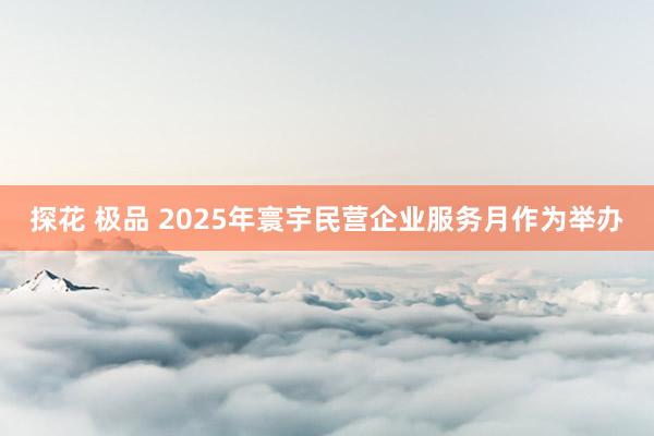 探花 极品 2025年寰宇民营企业服务月作为举办