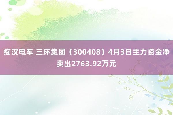 痴汉电车 三环集团（300408）4月3日主力资金净卖出2763.92万元
