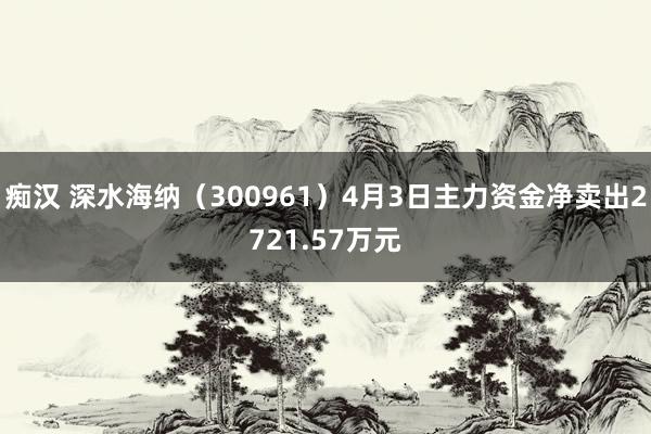 痴汉 深水海纳（300961）4月3日主力资金净卖出2721.57万元