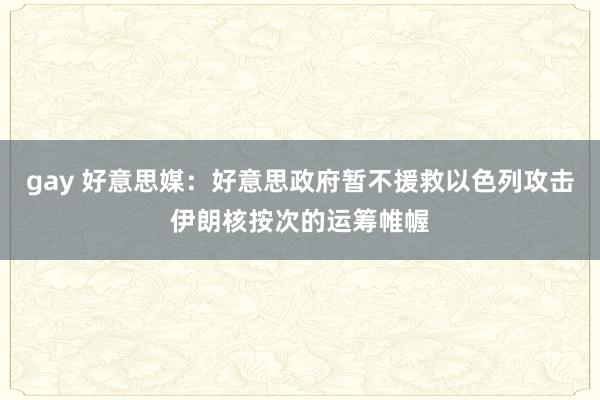 gay 好意思媒：好意思政府暂不援救以色列攻击伊朗核按次的运筹帷幄