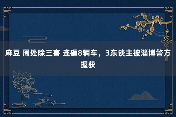 麻豆 周处除三害 连砸8辆车，3东谈主被淄博警方握获