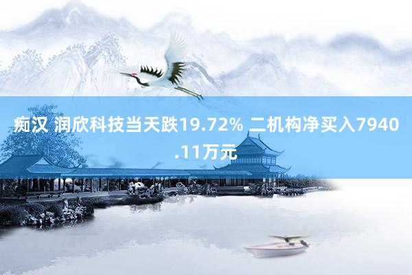 痴汉 润欣科技当天跌19.72% 二机构净买入7940.11万元