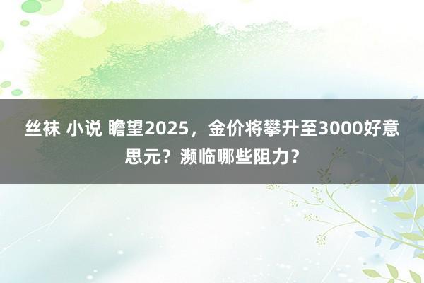 丝袜 小说 瞻望2025，金价将攀升至3000好意思元？濒临哪些阻力？
