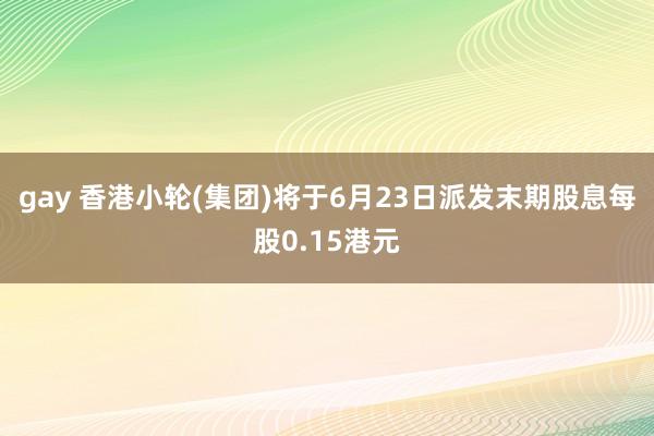 gay 香港小轮(集团)将于6月23日派发末期股息每股0.15港元