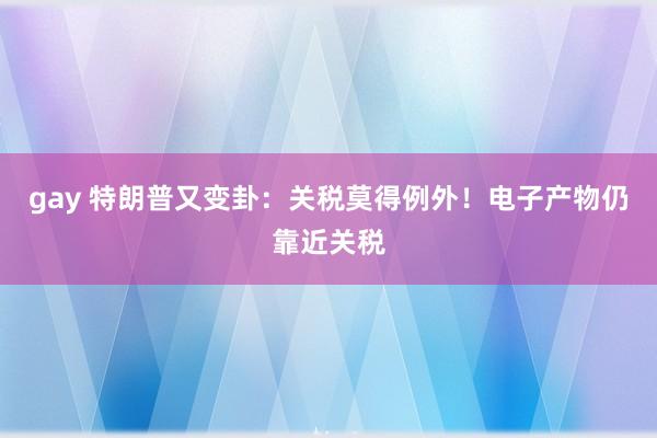 gay 特朗普又变卦：关税莫得例外！电子产物仍靠近关税