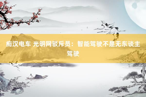 痴汉电车 光明网驳斥员：智能驾驶不是无东谈主驾驶